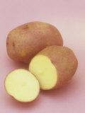 Buy Red Potato (Solanum Tuberosa), Red Cloud Variety at AllPosters.com