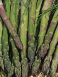 Buy Mary Washington Variety of Asparagus in a Harvest Basket (Asparagus Officinalis) at AllPosters.com