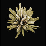 Buy A Scanning Electron Micrograph of a Detergent Crystal Magnified X6000 at AllPosters.com