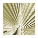 Palm Study III