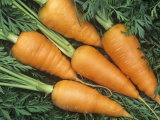 Buy Carrots, Red Cored Chantenay Variety (Daucus Carota) at AllPosters.com