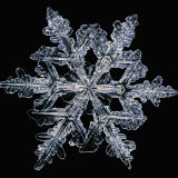 Snowflake