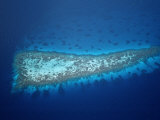 Buy Aerial View of Coral Reefs, Maldives, Indian Ocean, Felidu Atoll at AllPosters.com