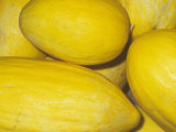 Buy Melon Variety Canary at AllPosters.com