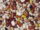 Buy Mixed Varieties of Beans (Phaseolus Vulgaris). Native to Central and South America at AllPosters.com