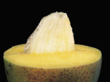 Buy Mango Fruit Opened, Showing Seeds Inside, Mangifera Indica at AllPosters.com
