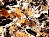Mica Diorite Thin Section Showing Component Crystals, Polarized View
