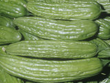 Buy Bitter Melon, Gourd Variety(Momordica Charantia), Native to Old World Tropics at AllPosters.com