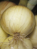 Onion Variety Walla Walla