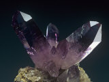 Amethyst Crystals