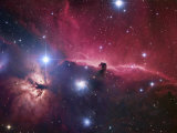 The Horsehead Nebula Region