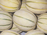 Buy Melon Variety Cantaloupe, Tuscan Style at AllPosters.com
