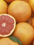 Buy Grapefruit at AllPosters.com