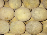 Buy Melon Variety Cantaloupe or Muskmelon at AllPosters.com