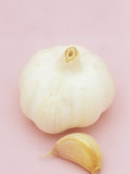 Buy Garlic (Allium Sativum) at AllPosters.com