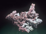 Cuprite on Copper, Tsumeb Mine, Namibia, Africa