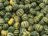 Buy Harvested Carnival Squash, New York, USA at AllPosters.com