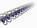 Buy Dna Molecular Model Within a Coil at AllPosters.com