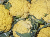 Buy Cauliflower Variety Cheddar Cheese (Brassica Oleracea Var. Botrytis) Native to Mediterranean Region at AllPosters.com