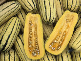 Buy Burgess Buttercup: a Winter Squash Delicata at AllPosters.com