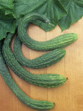 Buy Cucumber, Suyo Long, Burpless at AllPosters.com