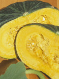 Buy Squash, Honey Delight, 95 Days at AllPosters.com