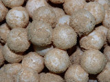 Green Sea Turtle Eggs in a Nest on a Borneo Beach (Chelonia Mydas), Pacific Ocean