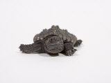 Baby Common Snapping Turtle
