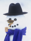 Carolina Wren on a Snowman