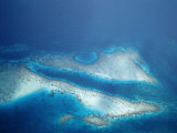 Buy Aerial View of Coral Reefs, Maldives, Indian Ocean, Felidu Atoll at AllPosters.com