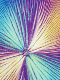 Vitamin C or Ascorbic Acid Crystals. Polarized