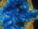 Buy Liroconite Crystals on Limonite, Cornwall, England, Uk at AllPosters.com