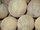 Buy Melon Variety Cantaloupe or Muskmelon at AllPosters.com