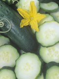 Buy Cucumber, Sweet Success at AllPosters.com