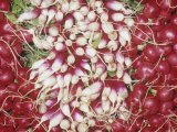Varieties of Radishes