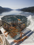 Spot Prawn Trap (Pandalus Platyceros), Prince Rupert, British Columbia, Canada, Pacific Ocean