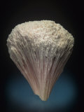 Kutnohorite Crystals, South Africa