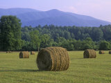 Hay Bales, Cades Cove, Great Smoky Mountains National Park, Tennessee, USA