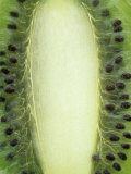 Kiwi Fruit, Actinidia Chinesis