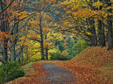 Walking Trail around Bass Lake in the Autumn, Blowing Rock, North Carolina, USA