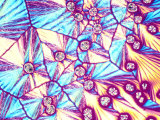 Vitamin C, Ascorbic Acid, Crystals. Polarized Lm