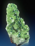 Buy Dioptase Crystals with Duftite and Calcite, Tsumeb Mine, Namibia, Africa at AllPosters.com