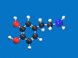 Molecular Model of Dopamine, a Neurotransmitter