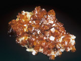 Wulfenite Crystals, an Ore of Molybdenum