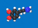 Molecular Model of Dopamine, a Neurotransmitter