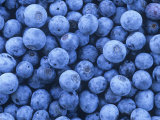 Blueberries, Vaccinium Corymbosum