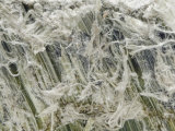 Chrysotile Asbestos ..Sample Courtesy of Perkins Museum of Geology, University of Vermont