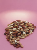 Buy Mixture of Beans (Phaseolus Vulgaris) at AllPosters.com