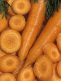 Buy Chantenay Carrots, Chantilly Hybrid (Daucus Carota), Sliced and Unsliced at AllPosters.com
