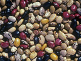 Bean Varieties